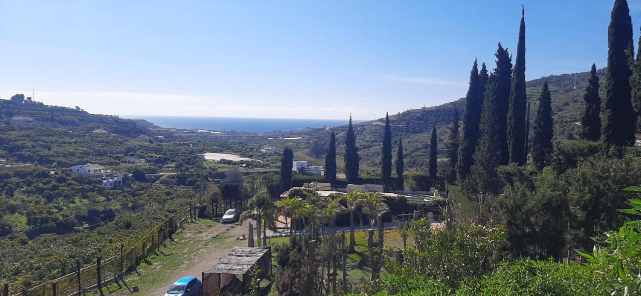 Willa Antigua Finca De Ayo Y Karina Frigiliana Zewnętrze zdjęcie