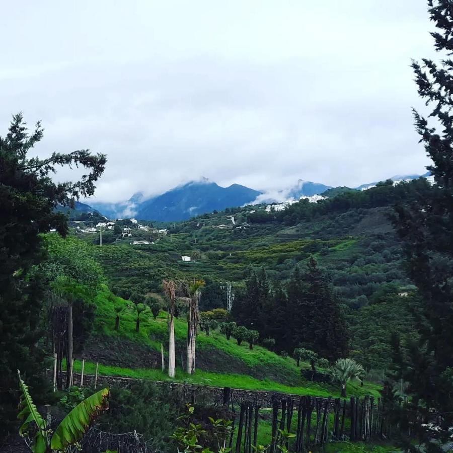 Willa Antigua Finca De Ayo Y Karina Frigiliana Zewnętrze zdjęcie